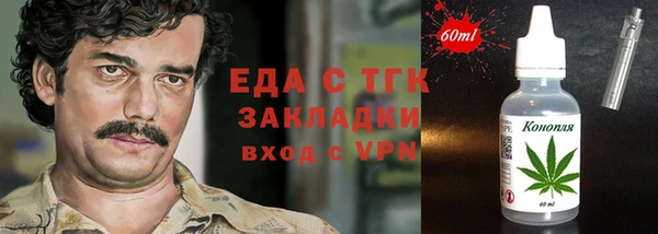 индика Михайловск