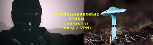 индика Михайловск