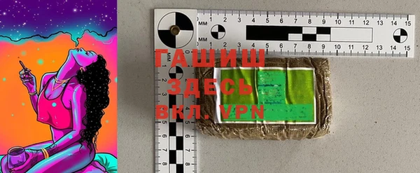 индика Михайловск