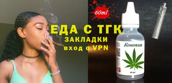 индика Михайловск